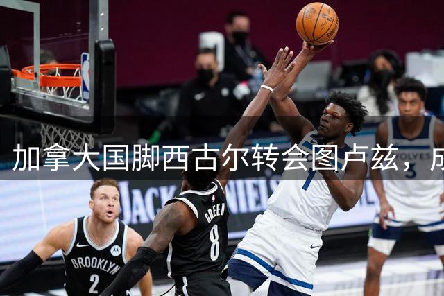 加拿大国脚西古尔转会图卢兹，成为今夏第八位新援